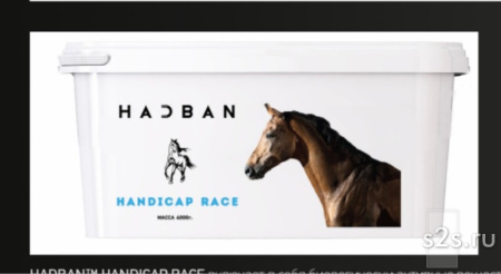 HADBAN HANDICAP RACE
