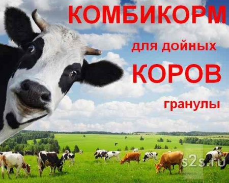 Комбикорм для дойных коров КК-60/1 КРС