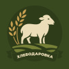 Виденеев Александр